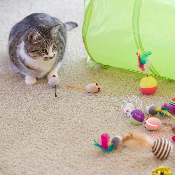 21pcs cat toys kit collapsible tunnel cat toy fun channel feather balls mice shape pet kitten dog cat interactive play jllvov
21pcs cat toys kit collapsible tunnel cat toy fun channel feather balls mice shape pet kitten dog cat interactive play jllvov