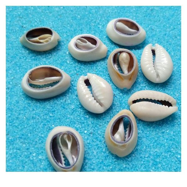 50pcs light gray natural sea shell loose beads accessories for diy bracelets ornaments home fish tank conch qyltoq
50pcs light gray natural sea shell loose beads accessories for diy bracelets ornaments home fish tank conch qyltoq