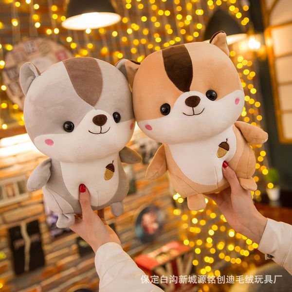 2019 new down cotton soft squirrel plush toy cartoon mouse doll children's doll gift wholesale
2019 new down cotton soft squirrel plush toy cartoon mouse doll children's doll gift wholesale