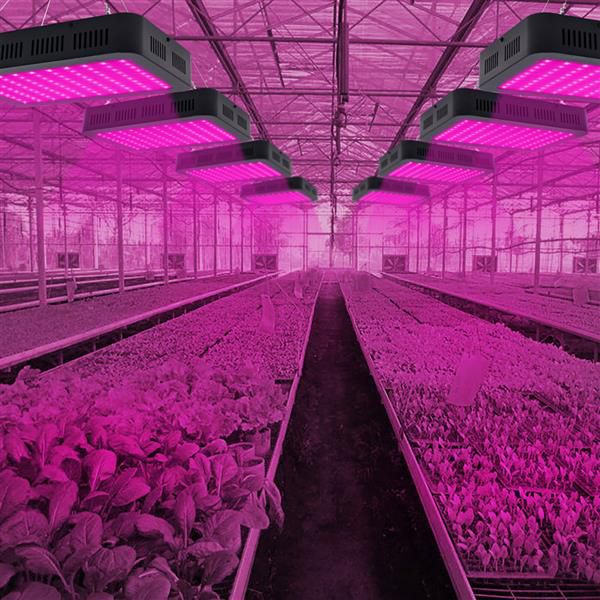 1200w 100*10w new full spectrum 3030 lamp bead plant lamp single control black premium material grow light
1200w 100*10w new full spectrum 3030 lamp bead plant lamp single control black premium material grow light