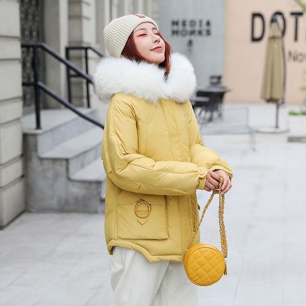 2019 new fashion women long winter jacket cotton padded warm thicken ladies long hooded white fur collar parka womens jackets1, Black
2019 new fashion women long winter jacket cotton padded warm thicken ladies long hooded white fur collar parka womens jackets1, Black