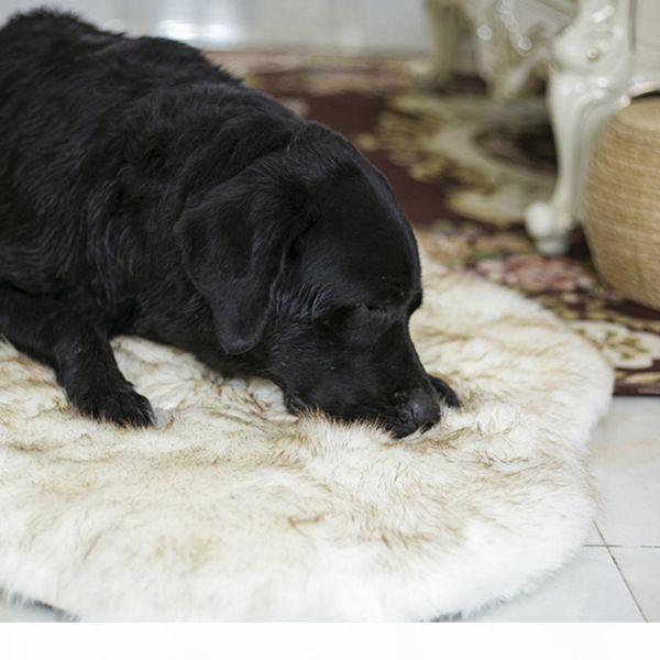 fluffy pet dog bed mat warm soft dog rug long plush dog cat sleeping bed for big medium small puppys winter kennel
fluffy pet dog bed mat warm soft dog rug long plush dog cat sleeping bed for big medium small puppys winter kennel