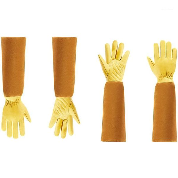 disposable gloves 2 pair gardening for women and men thron proof rose pruning cow leather -m & l1
disposable gloves 2 pair gardening for women and men thron proof rose pruning cow leather -m & l1