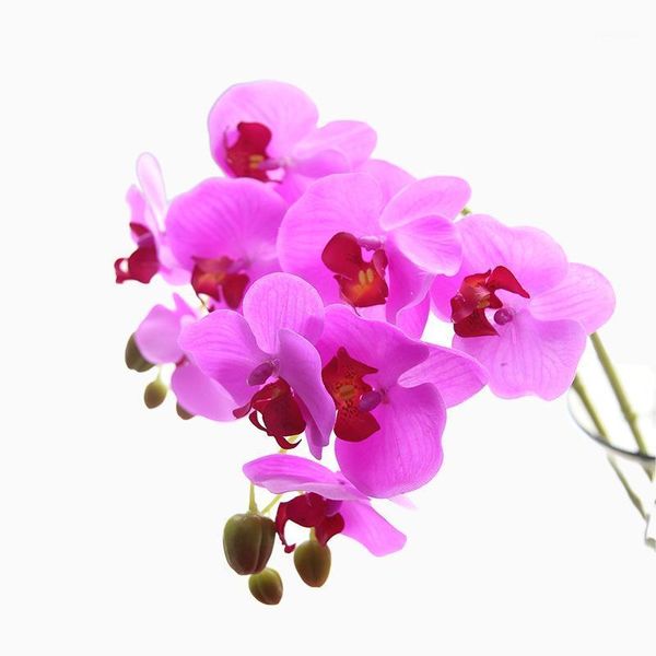 71cm artificial flowers real touch artificial moth orchid butterfly orchid for new house home wedding festival decoration1
71cm artificial flowers real touch artificial moth orchid butterfly orchid for new house home wedding festival decoration1