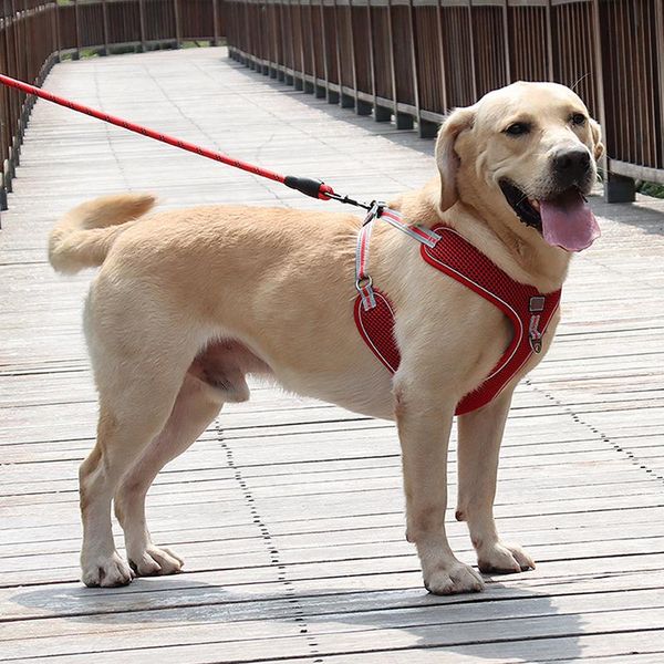pet dog explosion-proof chest strap with traction rope reflective breathable material adjustable shoulder strap pet supplies
pet dog explosion-proof chest strap with traction rope reflective breathable material adjustable shoulder strap pet supplies