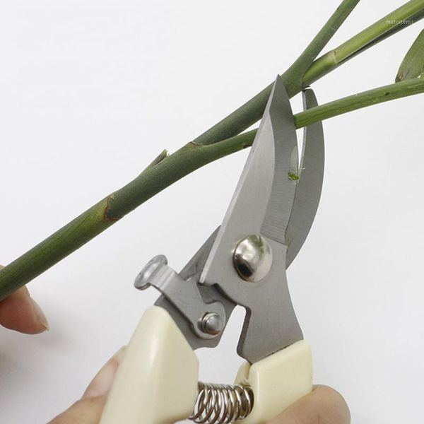 1pc garden scissors grafting tool fruit tree pruning shears bonsai pruners garden shears gardening secateurs tool1
1pc garden scissors grafting tool fruit tree pruning shears bonsai pruners garden shears gardening secateurs tool1
