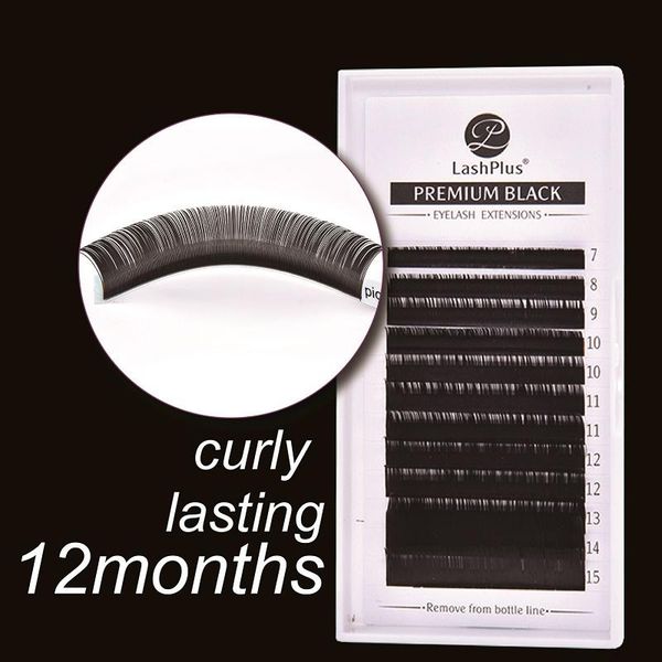 false eyelashes arrived lashplus custom your logo individual eyelash extension silk lashes classic extensions
false eyelashes arrived lashplus custom your logo individual eyelash extension silk lashes classic extensions