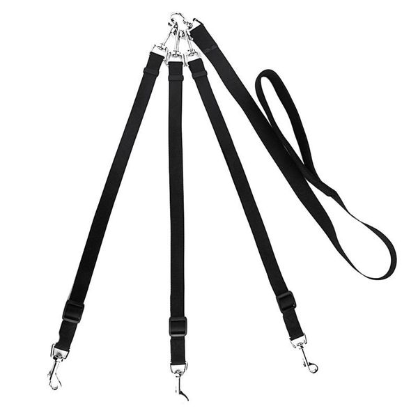 new creative adjustable detachable nylon dog leash 3 in 1 dog leashes for multiple dogs with padded handle
new creative adjustable detachable nylon dog leash 3 in 1 dog leashes for multiple dogs with padded handle