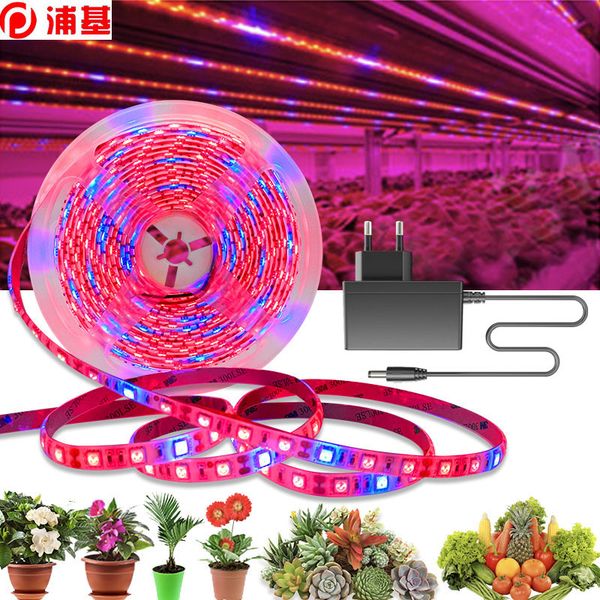 20m led plant grow strip lights full spectrum flower phyto lamp waterproof for greenhouse hydroponic growth light +power adapter
20m led plant grow strip lights full spectrum flower phyto lamp waterproof for greenhouse hydroponic growth light +power adapter