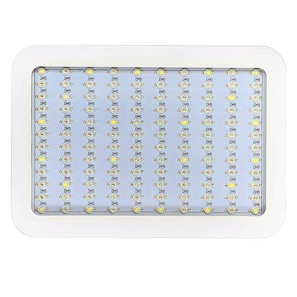 delivery 1200w high intensity led dual chips 380-730nm full light spectrum led plant growth lamp white low heat
delivery 1200w high intensity led dual chips 380-730nm full light spectrum led plant growth lamp white low heat