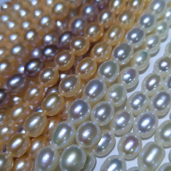 natural freshwater rice-shaped pearl bracelet simple style temperament wild 7-8mm customizable wrist length wholesale fashion design, White
natural freshwater rice-shaped pearl bracelet simple style temperament wild 7-8mm customizable wrist length wholesale fashion design, White