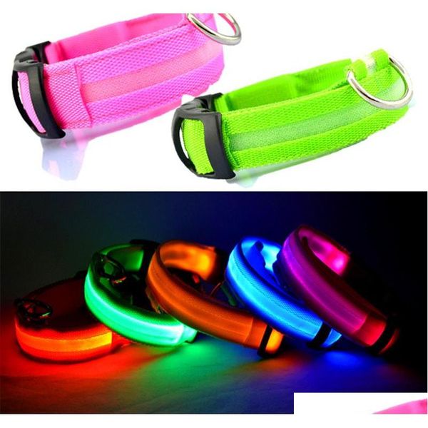 led pet dog collar led light night safety flashing dog collar with extra batteries light-up flash glowing in dark cat 8i6cg
led pet dog collar led light night safety flashing dog collar with extra batteries light-up flash glowing in dark cat 8i6cg