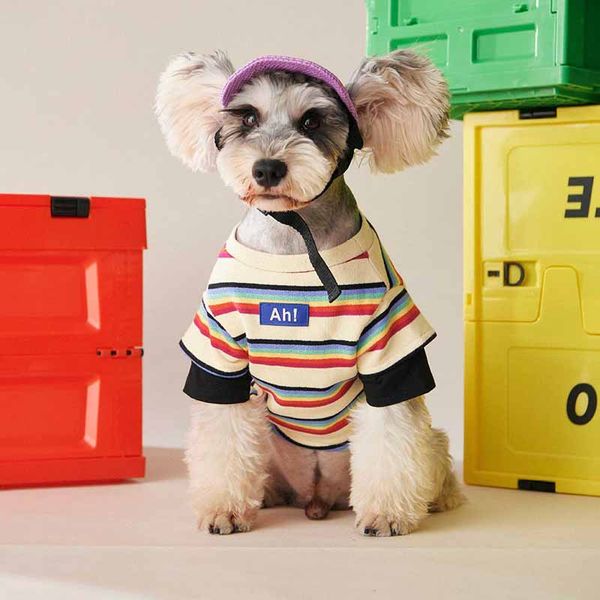 dog clothes autumn small and medium-sized dog striped sweater teddy schnauzer pomeranian corgi cat thin pet clothes print sunday pullover
dog clothes autumn small and medium-sized dog striped sweater teddy schnauzer pomeranian corgi cat thin pet clothes print sunday pullover