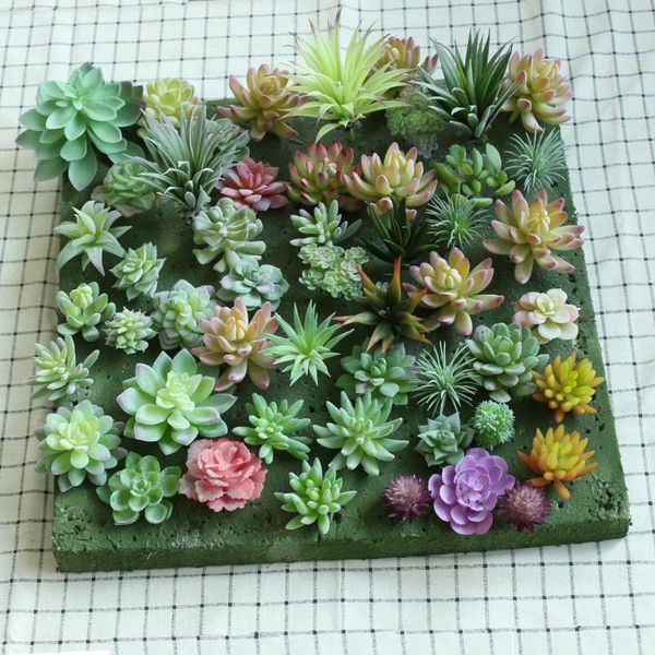 Green Artificial Succulents Plants for Home Garden Decoration Wedding Plants Wall Flower Arrangement Bonsai Fake
Green Artificial Succulents Plants for Home Garden Decoration Wedding Plants Wall Flower Arrangement Bonsai Fake