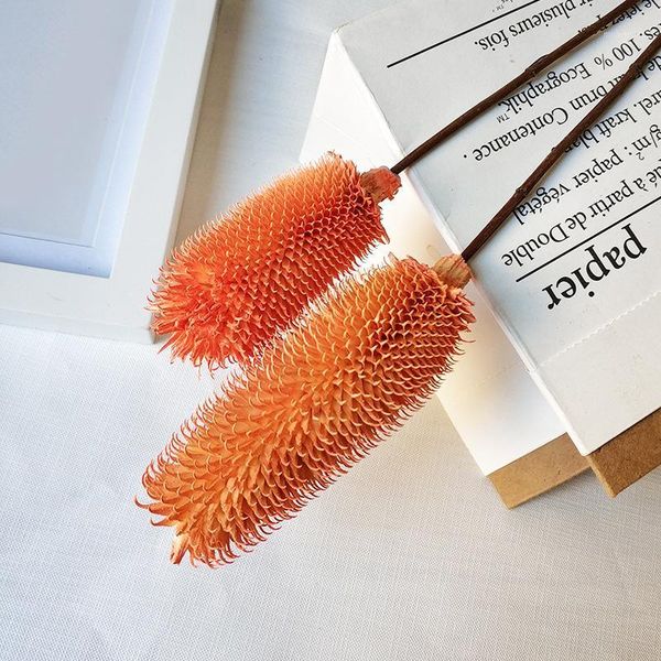 decorative flowers & wreaths 5pcs,nature dried flower teasel branch,diy real eternal rose life,home wedding easter decoration,flower gift bo
decorative flowers & wreaths 5pcs,nature dried flower teasel branch,diy real eternal rose life,home wedding easter decoration,flower gift bo