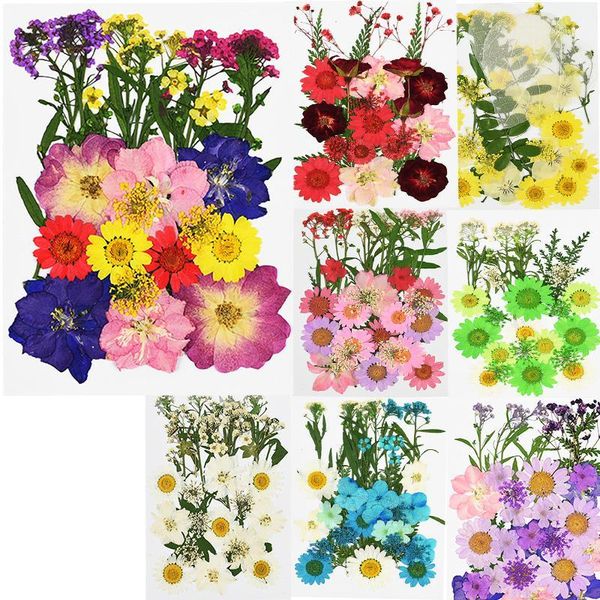 pressed flowers small dried flower plant diy handmade scrapbooking floral bookmark card gift box wreath wedding party decoration1
pressed flowers small dried flower plant diy handmade scrapbooking floral bookmark card gift box wreath wedding party decoration1