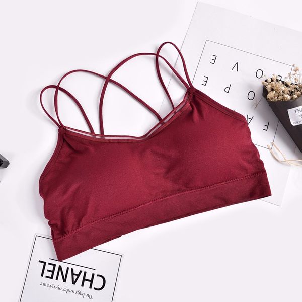 3Pieces/Lot Bra Seamless Chest Padded Small Straps Bras For Women Wire Free Comfort Underwear Sexy Lingerie Girls Top Bras, Red;black
3Pieces/Lot Bra Seamless Chest Padded Small Straps Bras For Women Wire Free Comfort Underwear Sexy Lingerie Girls Top Bras, Red;black