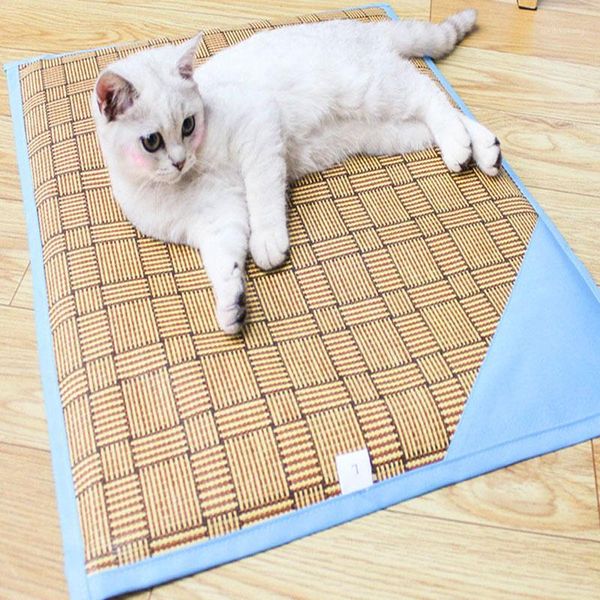 dog houses & kennels accessories summer sponge mat dual-purpose pet heat dissipation ventilation and cooling comfort refreshing supplies1 
dog houses & kennels accessories summer sponge mat dual-purpose pet heat dissipation ventilation and cooling comfort refreshing supplies1
