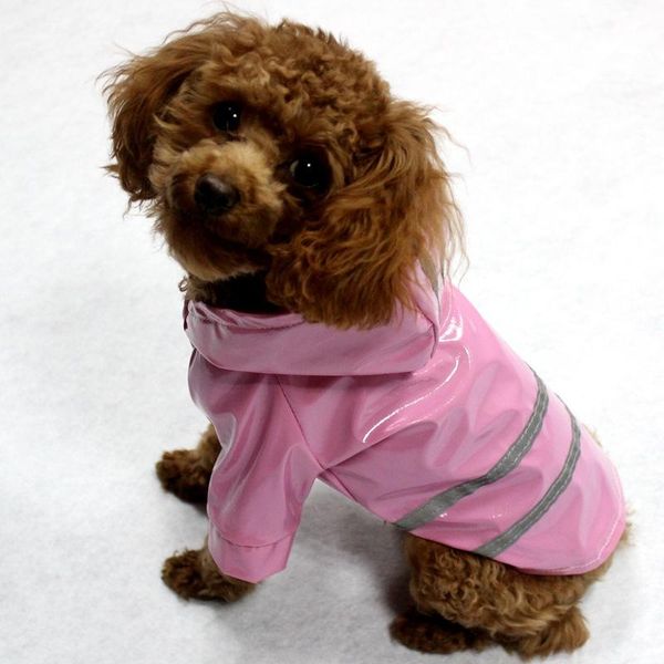 dog apparel pet raincoat summer hooded waterproof jackets reflective breathable mesh outdoor clothes leisure lightweight durable
dog apparel pet raincoat summer hooded waterproof jackets reflective breathable mesh outdoor clothes leisure lightweight durable
