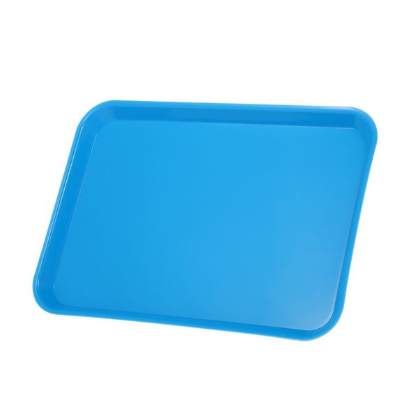 plastic tray for medical dental use tattoo piercing heat-resistant rectangular 13.23'' x 9.45
plastic tray for medical dental use tattoo piercing heat-resistant rectangular 13.23'' x 9.45