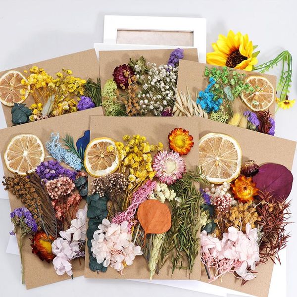 1 box mix beautiful real dried flowers natural floral for art craft scrapbooking resin jewelry craft making epoxy mold wmtwyr 
1 box mix beautiful real dried flowers natural floral for art craft scrapbooking resin jewelry craft making epoxy mold wmtwyr