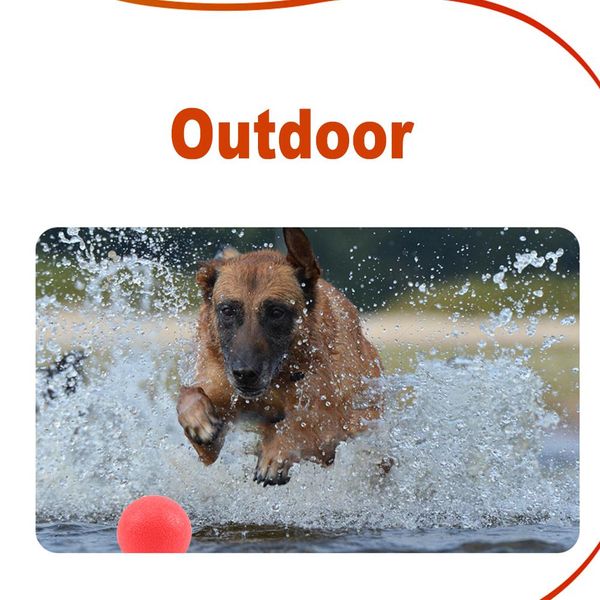 solid dog ball toy rubber elastic ball toys for large small dogs chew toy pet interactive bite balls biting resistance dog q wmtrre
solid dog ball toy rubber elastic ball toys for large small dogs chew toy pet interactive bite balls biting resistance dog q wmtrre