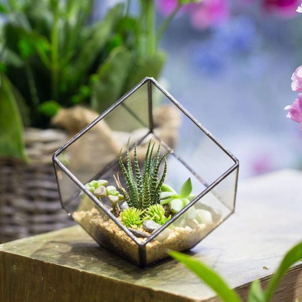 modern glass terrarium storage box clear glass geometric terrarium succulent plant display box decorative votive candle holder, Pink;blue
modern glass terrarium storage box clear glass geometric terrarium succulent plant display box decorative votive candle holder, Pink;blue
