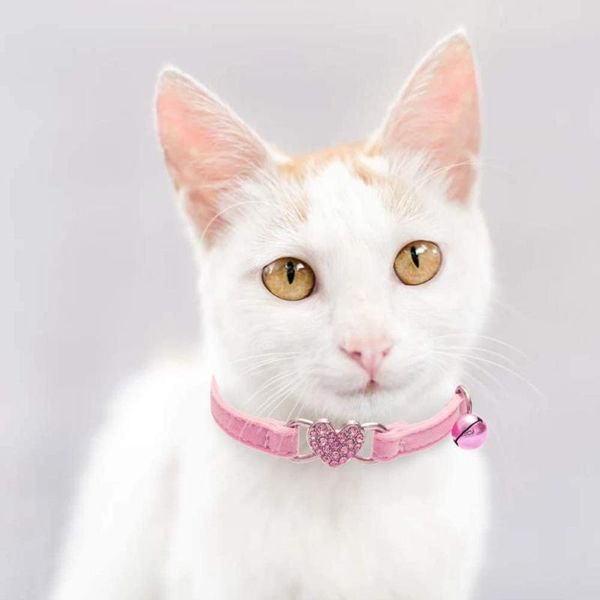 cat collars & leads collar with bling heart shape for cats puppy small dog cute necklace accessories bell
cat collars & leads collar with bling heart shape for cats puppy small dog cute necklace accessories bell