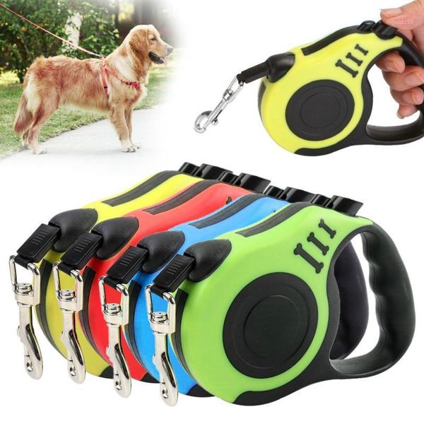 3/5m durable dog leash automatic retractable nylon cat lead extending puppy walking running roulette1
3/5m durable dog leash automatic retractable nylon cat lead extending puppy walking running roulette1
