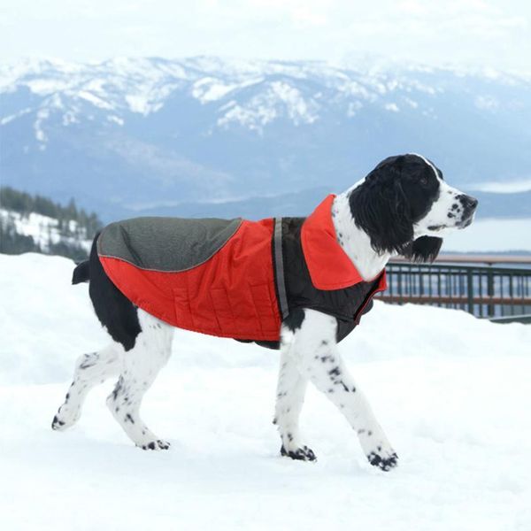 winter dog clothes coat waterproof pet dog jacket vest warm dogs clothing outfit for medium large dogs reflective desi bbynqs
winter dog clothes coat waterproof pet dog jacket vest warm dogs clothing outfit for medium large dogs reflective desi bbynqs