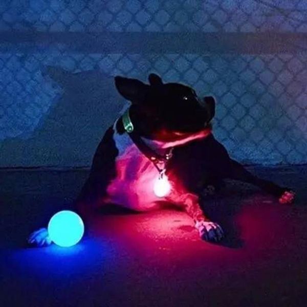 pet dog ball toy greow streak light для средних больших собак ночная игра светящиеся собаки воротник интерактивные светодиодные собаки q bby
pet dog ball toy greow streak light для средних больших собак ночная игра светящиеся собаки воротник интерактивные светодиодные собаки q bby