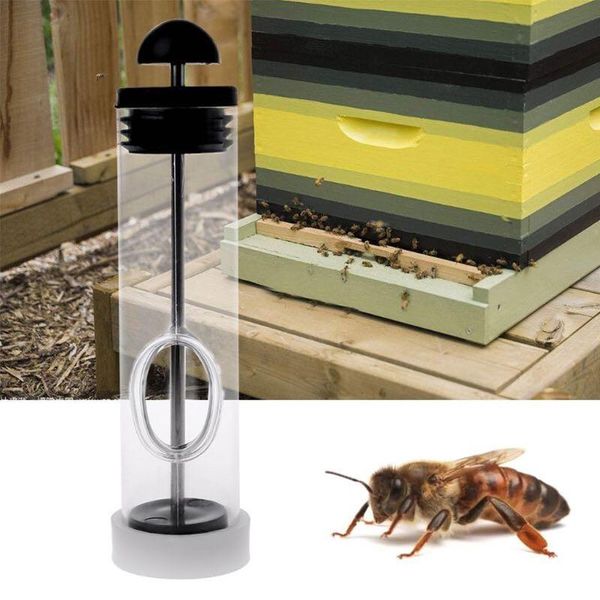portable catcher apiculture non toxic plastic marker beekeeping equipment bee queen practical box portable non toxic catcher wmtojl
portable catcher apiculture non toxic plastic marker beekeeping equipment bee queen practical box portable non toxic catcher wmtojl