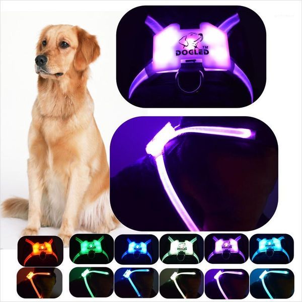 dog collars & leashes cc simon collar glowing accessories for large reflective harness dogs1
dog collars & leashes cc simon collar glowing accessories for large reflective harness dogs1
