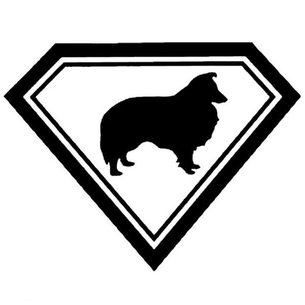 19*14.6cm sheltie dog vinyl decal waterproof car stickers car styling truck accessories black/silver s1-1332
19*14.6cm sheltie dog vinyl decal waterproof car stickers car styling truck accessories black/silver s1-1332