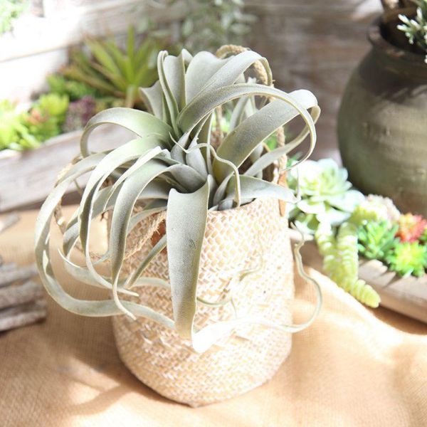 decorative flowers & wreaths 1 pcs artificial pineapple grass air plants fake for wedding decoration bromeliad plant home wall
decorative flowers & wreaths 1 pcs artificial pineapple grass air plants fake for wedding decoration bromeliad plant home wall