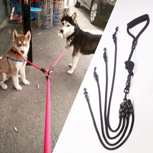 dog collars & leashes multiple pet dogs ropes outdoor supplies running jogging harnesses rope walk pets chain puppy traction products1
dog collars & leashes multiple pet dogs ropes outdoor supplies running jogging harnesses rope walk pets chain puppy traction products1