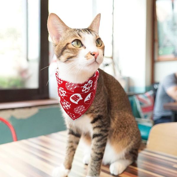 bandana collar for cats dog pet cat puppy scarf neckerchief adjustable printed bowtie bandanas collar triangular pet acc wmtzde
bandana collar for cats dog pet cat puppy scarf neckerchief adjustable printed bowtie bandanas collar triangular pet acc wmtzde