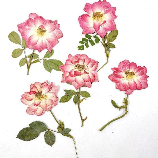 decorative flowers & wreaths 2021 rose on stems pressed flower wedding decoration gift cards bulk packing 60pcs1
decorative flowers & wreaths 2021 rose on stems pressed flower wedding decoration gift cards bulk packing 60pcs1