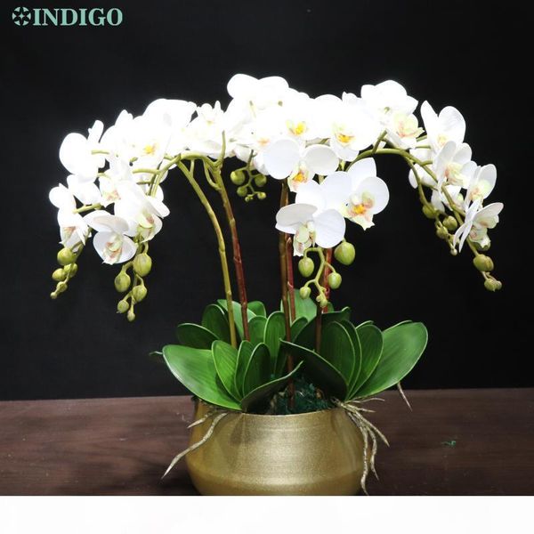 indigo- white orchid (7pcs orchid+5pcs leaves+pot) diy flower arrangment real touch flower office decoration event centerpiece 
indigo- white orchid (7pcs orchid+5pcs leaves+pot) diy flower arrangment real touch flower office decoration event centerpiece