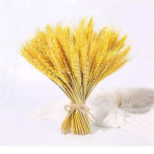 23cm real wheat ear flower natural dried flowers for wedding party diy table decor craft scrapbook home decor wheat bbyqti
23cm real wheat ear flower natural dried flowers for wedding party diy table decor craft scrapbook home decor wheat bbyqti