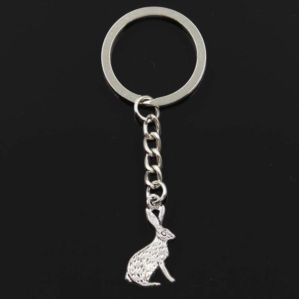 fashion keychain 26x14mm rabbit bronze silver color pendants diy men jewelry car key chain ring holder souvenir for gift
fashion keychain 26x14mm rabbit bronze silver color pendants diy men jewelry car key chain ring holder souvenir for gift