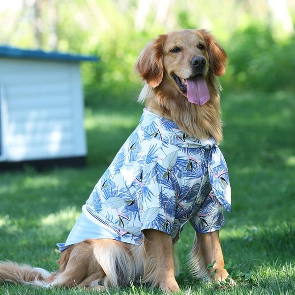 clothing thin medium sized large dog golden labrador two legged summer pet shirt light
clothing thin medium sized large dog golden labrador two legged summer pet shirt light