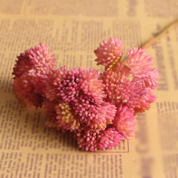 decorative flowers & wreaths artificial simulation fake flower- succulent bouquet plants for wedding home office decoration
decorative flowers & wreaths artificial simulation fake flower- succulent bouquet plants for wedding home office decoration