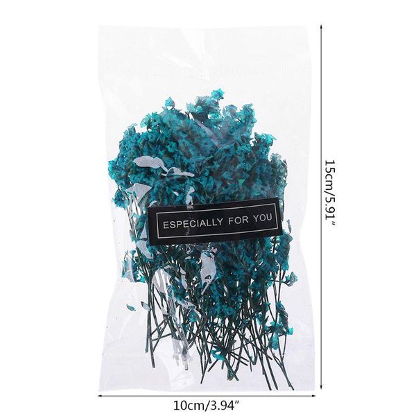 decorative flowers & wreaths 1 bag real pressed dried floral plants embellishments for diy scrapbooking card making art craft decoration b0k
decorative flowers & wreaths 1 bag real pressed dried floral plants embellishments for diy scrapbooking card making art craft decoration b0k