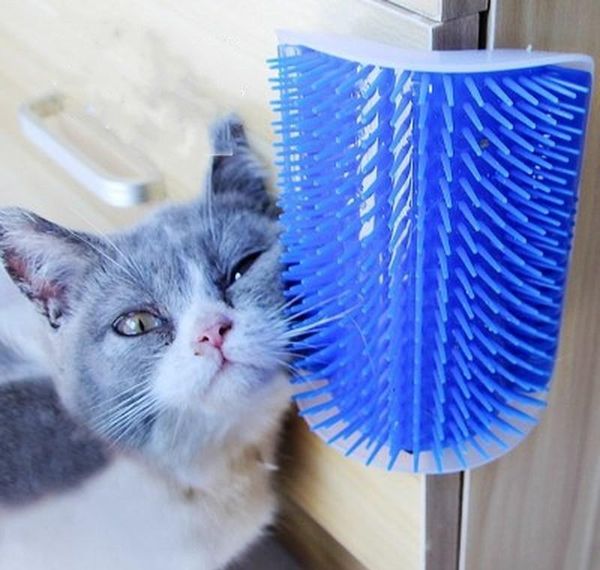 pet brush cat comb corner placed cat scratch itching scratch itching pet cat jllccs fight2010
pet brush cat comb corner placed cat scratch itching scratch itching pet cat jllccs fight2010