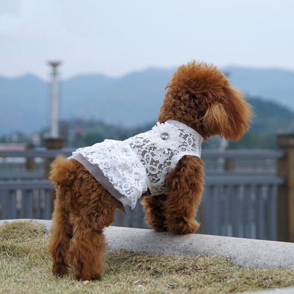 dog apparel hollow lace pet dress cat and clothes puppy christmas easter chihuahua summer
dog apparel hollow lace pet dress cat and clothes puppy christmas easter chihuahua summer