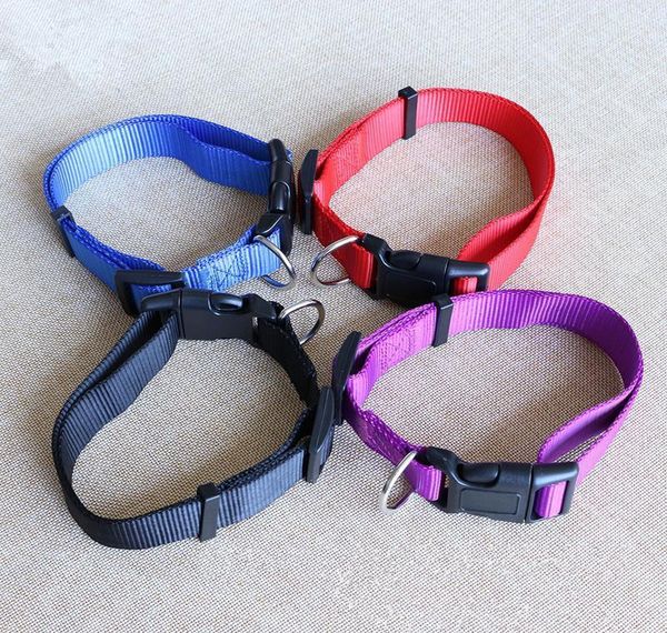 cw019 new fashion nylon dog collars for small dogs pet cat collar 4 sizes 4 colors adjustable dog coll jlldci fight2010
cw019 new fashion nylon dog collars for small dogs pet cat collar 4 sizes 4 colors adjustable dog coll jlldci fight2010