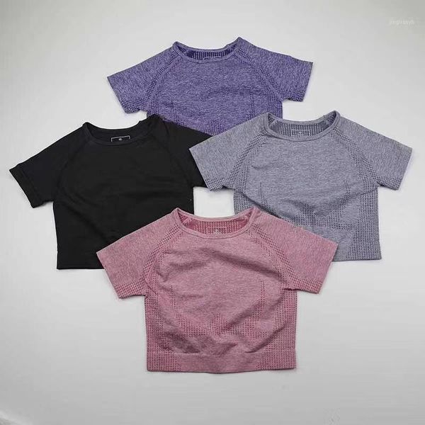 yoga outfits women seamless shirt fitness short sleeve crop sports workout gym clothes for running sport t-shirts sportswear1, White;red 
yoga outfits women seamless shirt fitness short sleeve crop sports workout gym clothes for running sport t-shirts sportswear1, White;red