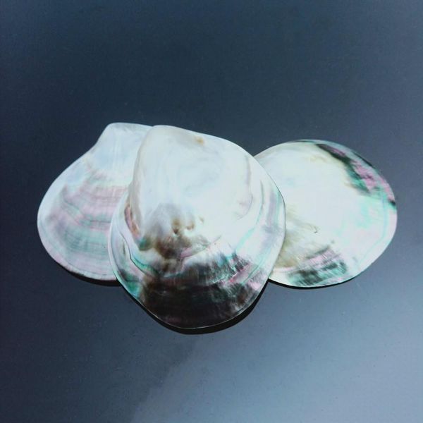 natural seashells black butterfly shell jewelry diy shell nautical beach decor scallop specimen restaurant caviar seasoning tray h jllddc
natural seashells black butterfly shell jewelry diy shell nautical beach decor scallop specimen restaurant caviar seasoning tray h jllddc