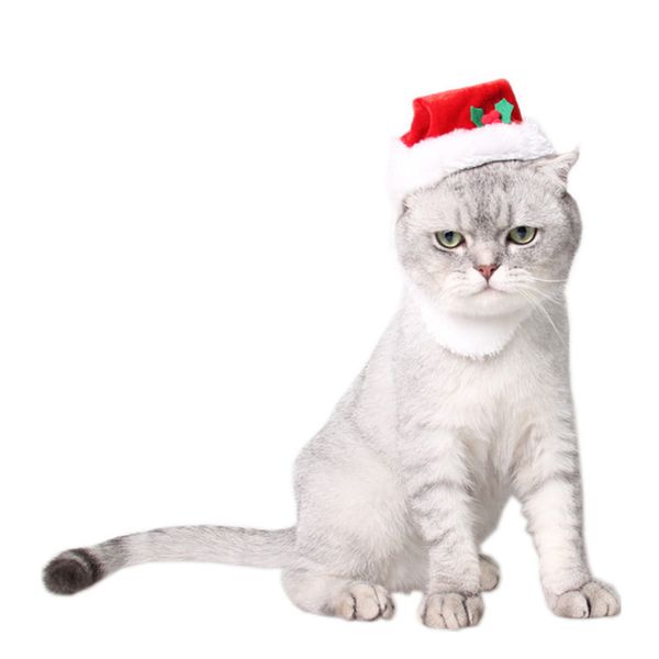pet christmas halloween costume puppy dog cats hat party dress up cap party costume headwear caps hat for dog cats
pet christmas halloween costume puppy dog cats hat party dress up cap party costume headwear caps hat for dog cats